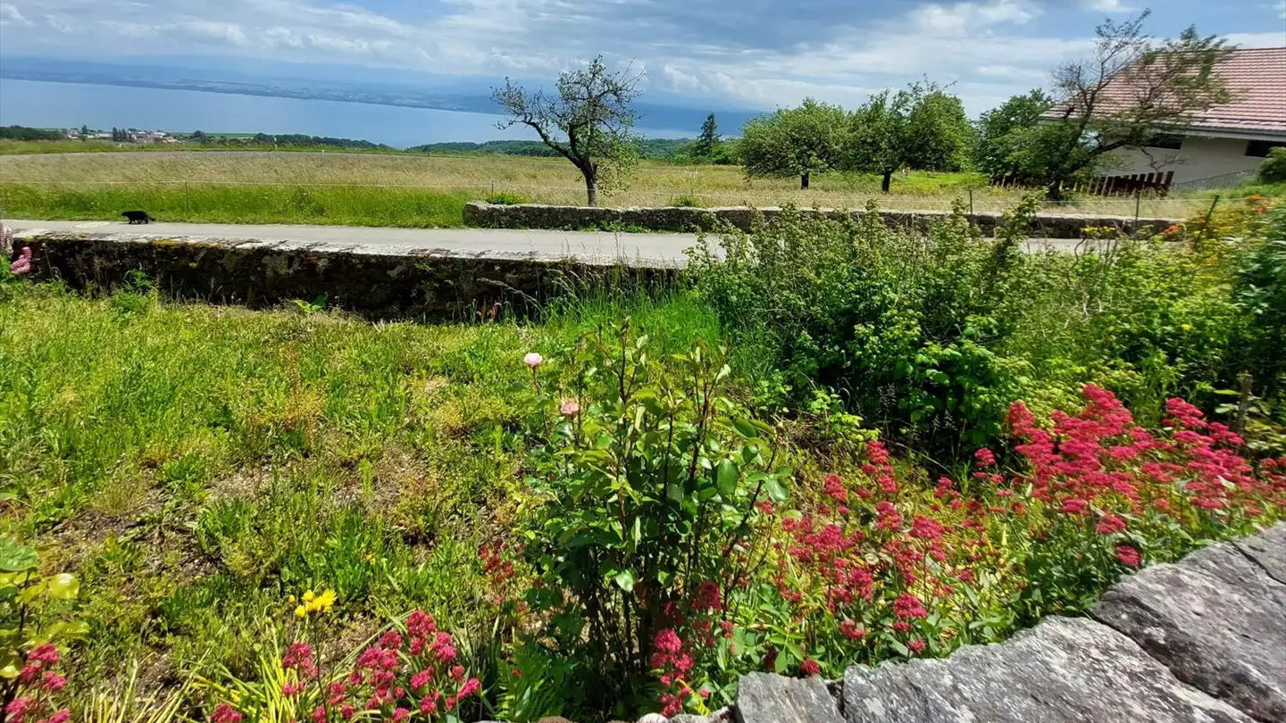 Einfamilienhaus kaufen - 1428 Mutrux - Foto 2