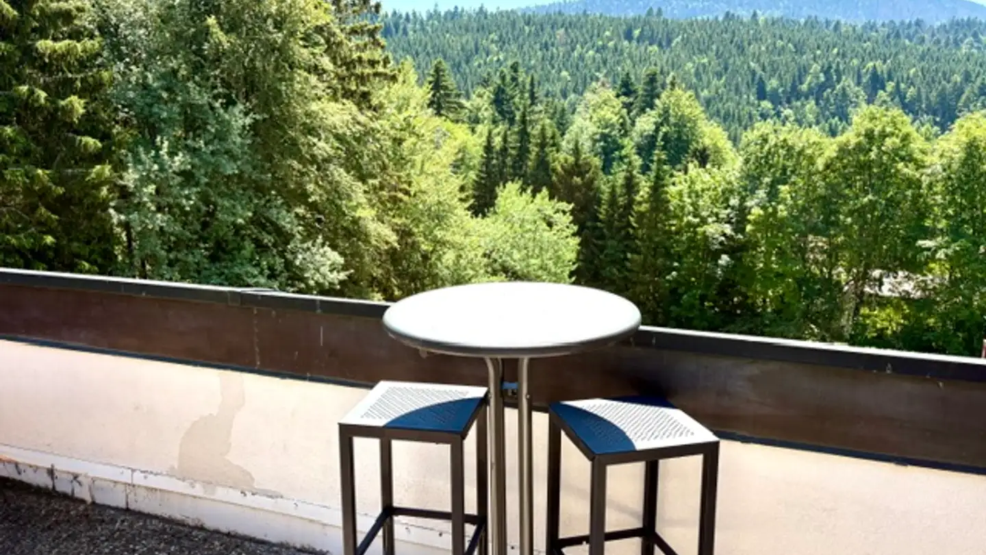 Duplex for sale - Route Des Cheseaux-Dessus, 1264 St-Cergue