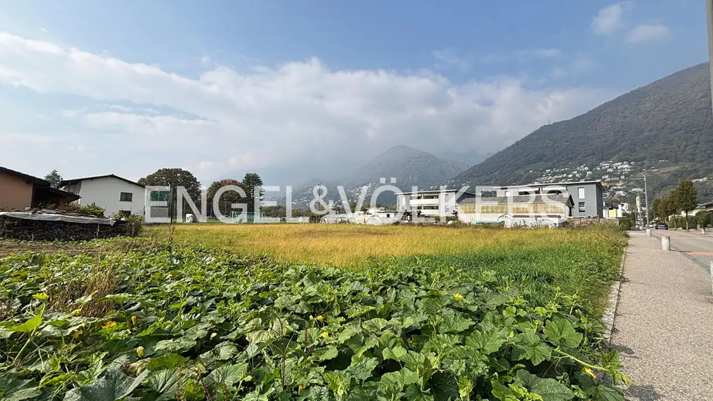 Constructible plot for sale - 6596 Gordola