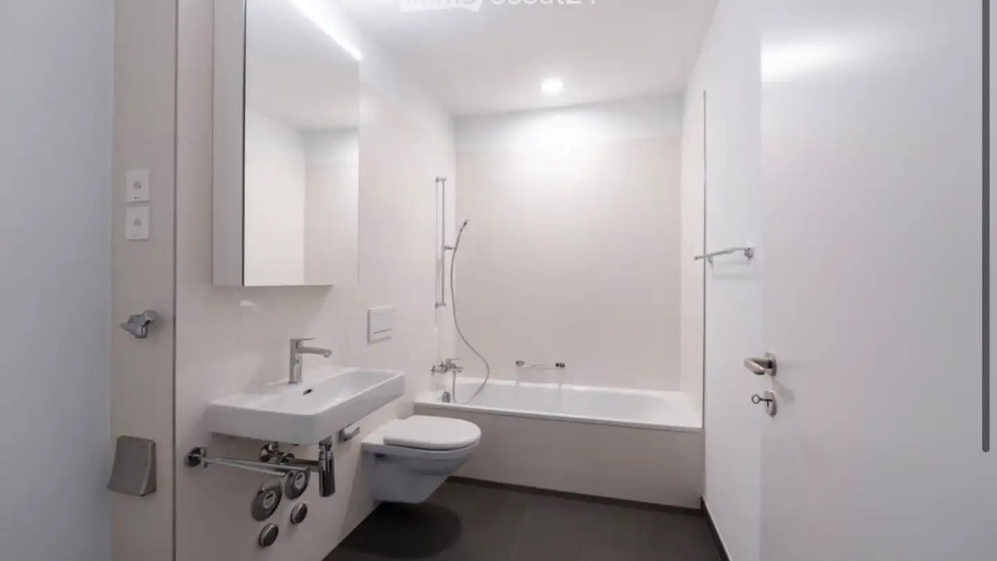 Appartamento in affitto - Erzenbergstrasse, 4410 Liestal - Foto 3