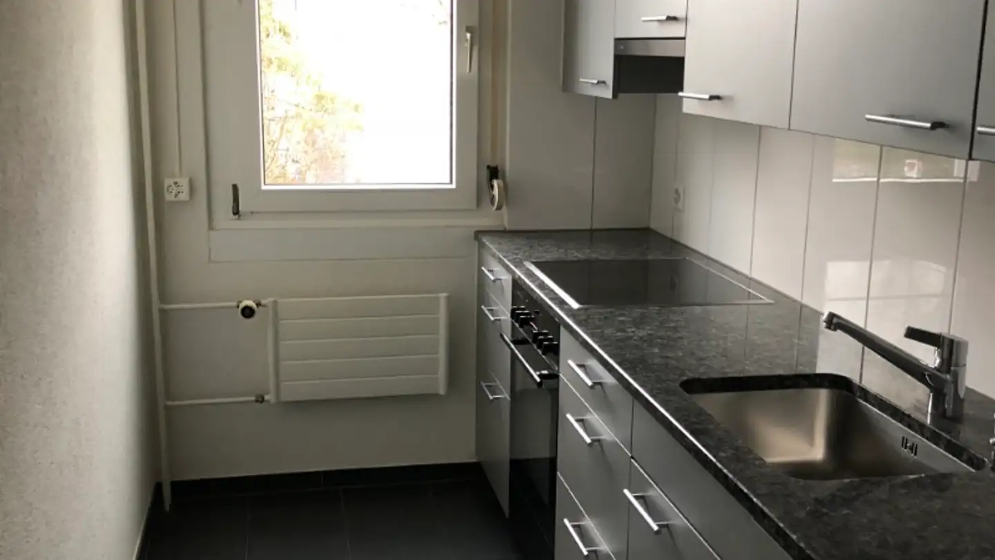 Appartement à louer - Müllerwis 19, 8606 Greifensee - Photo 3