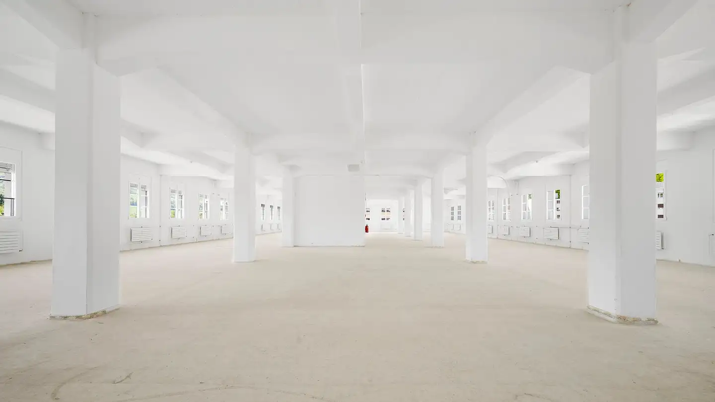 Commerciale in affitto - Solothurnerstrasse 233, 4600 Olten - Foto 4