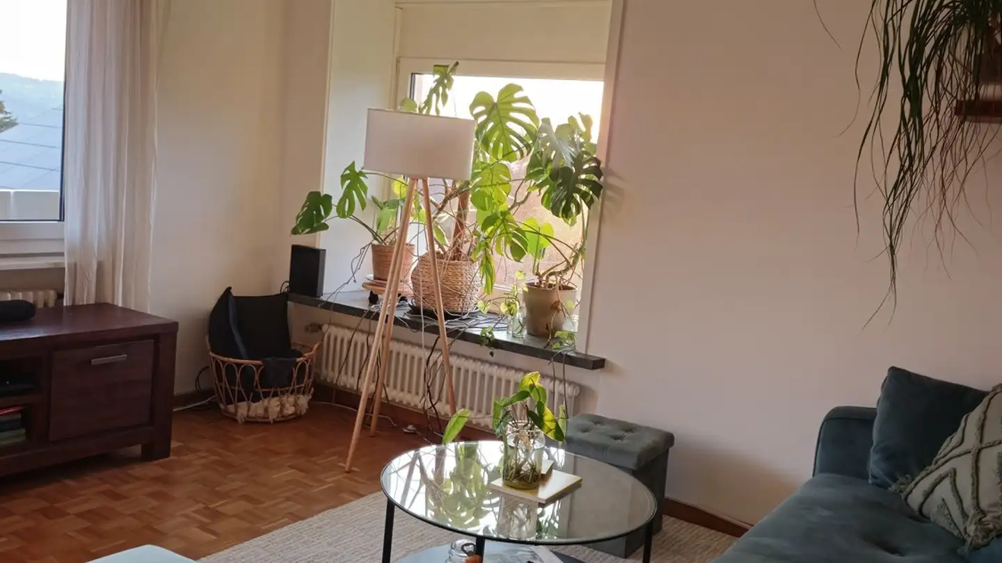 Single room for rent - 8707 Uetikon am See - Photo 4