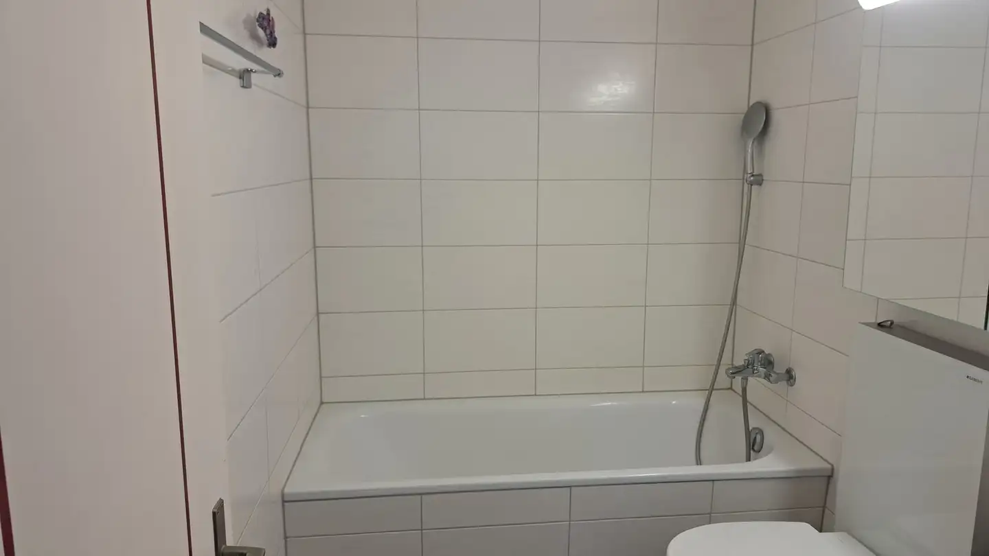 Stanza singola in affitto - 6440 Brunnen - Photo 3