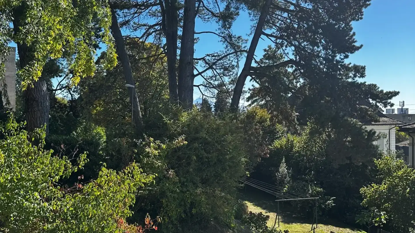 Appartement à louer - Chemin De La Lisière 3, 1018 Lausanne - Photo 3