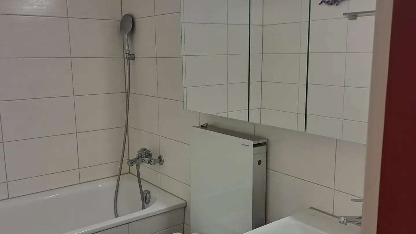 Stanza singola in affitto - 6440 Brunnen - Photo 4