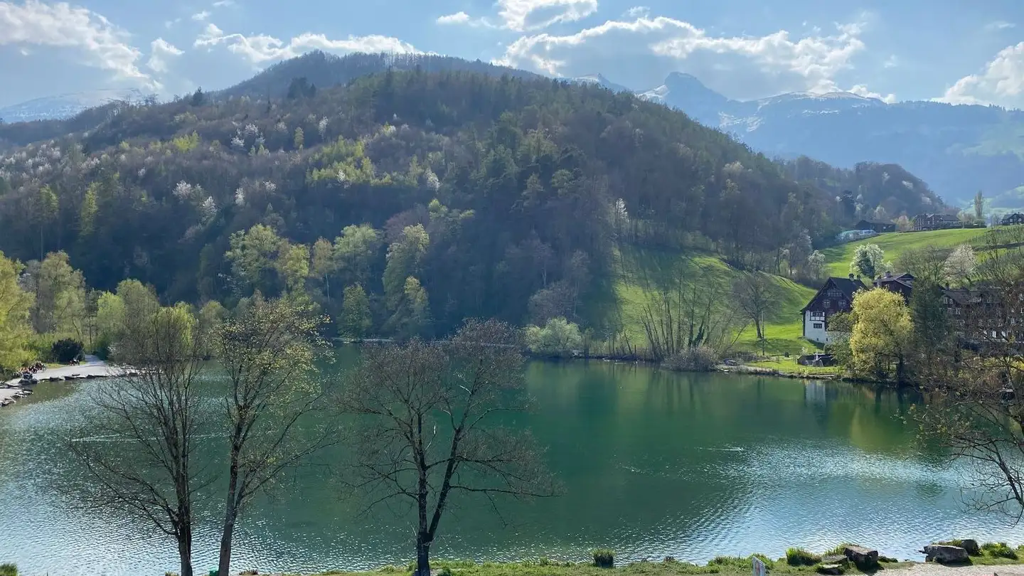 Attico in affitto - St. Gallerstrasse 38, 9470 Buchs SG