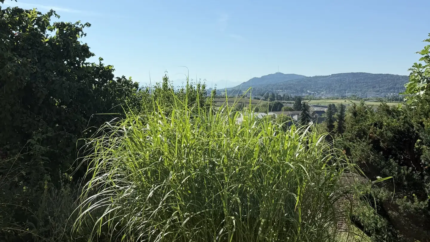 Apartment for rent - 8104 Weiningen ZH - Photo 2
