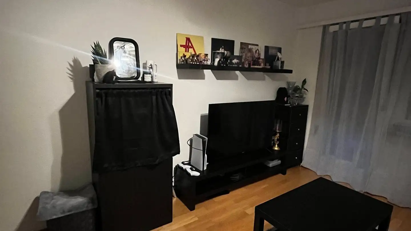 Apartment for rent - Feldstrasse 43, 8400 Winterthur - Photo 3