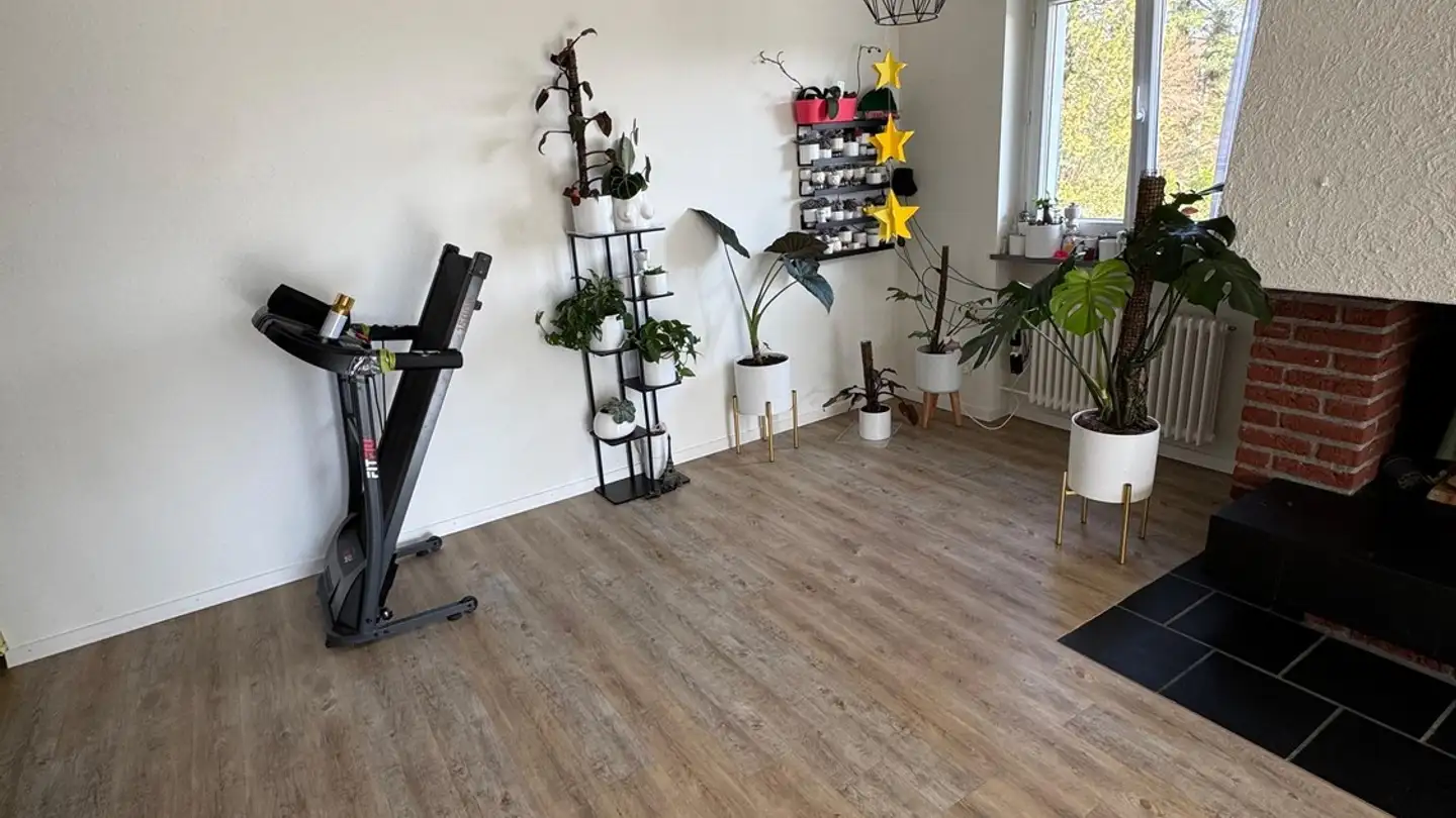 Apartment for rent - Hirsmühleweg 16, 8158 Regensberg - Photo 2