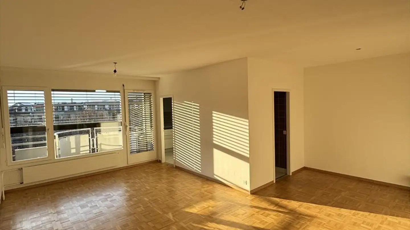 Appartement à louer - Rue Louis- Curval 12, 1206 Genève