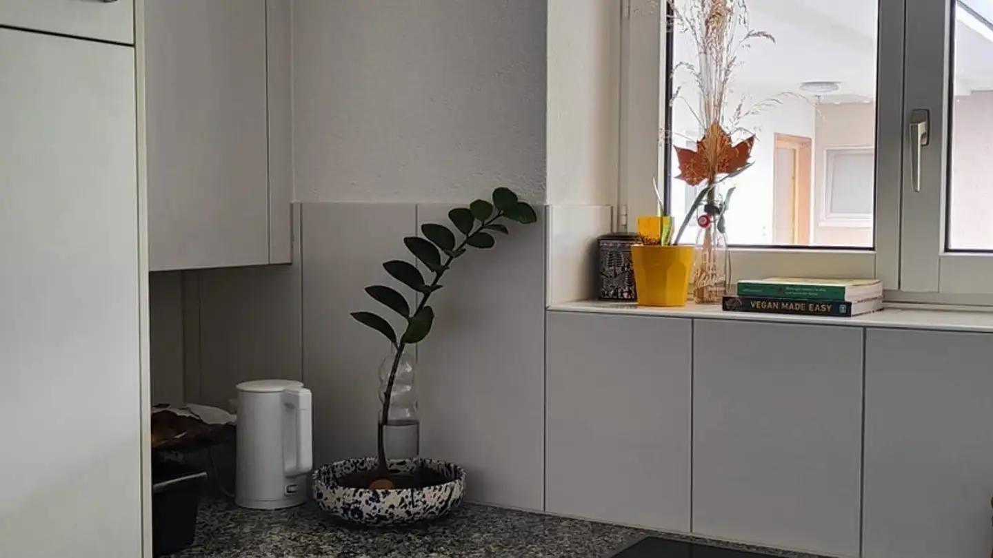 Appartamento in affitto - 8051 Zürich - Foto 4