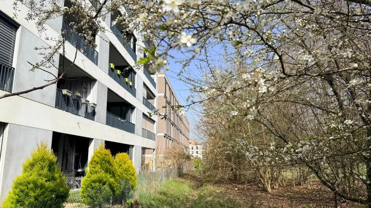 Apartment for sale - Route De Meyrin, 1217 Meyrin