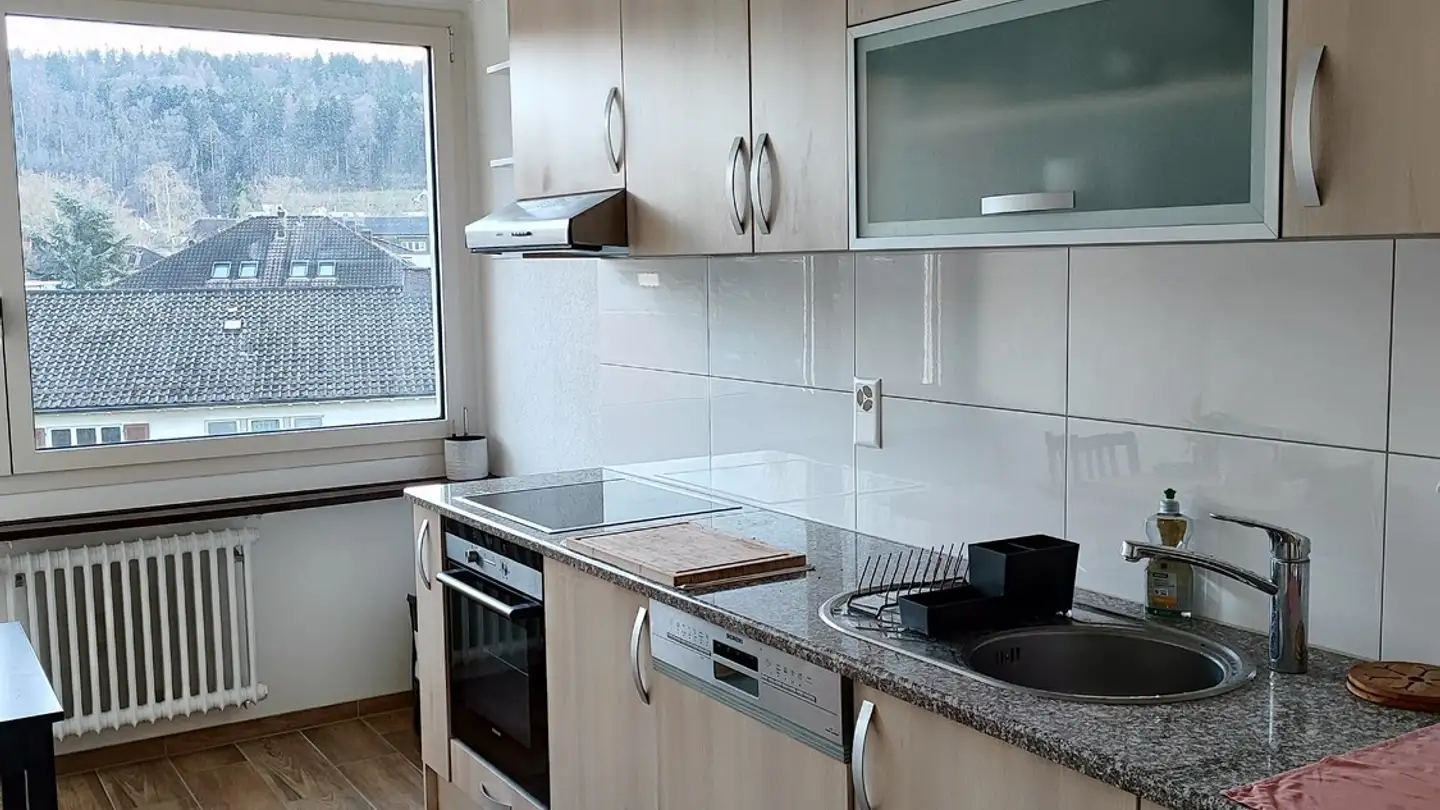 Appartement à louer - Aprikosenstrasse 30, 8051 Zürich - Photo 2