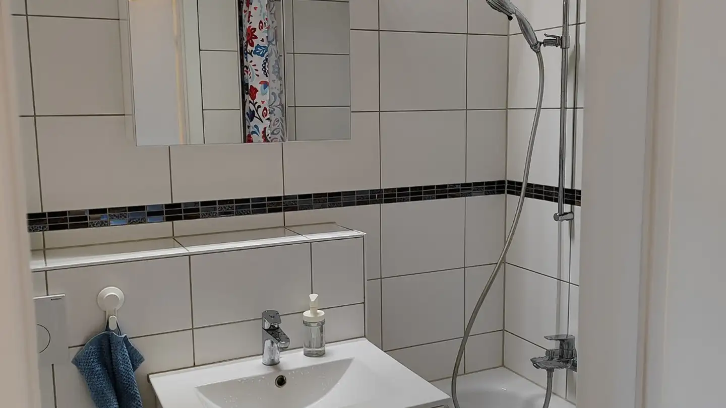 Appartement à louer - Aprikosenstrasse 30, 8051 Zürich - Photo 4