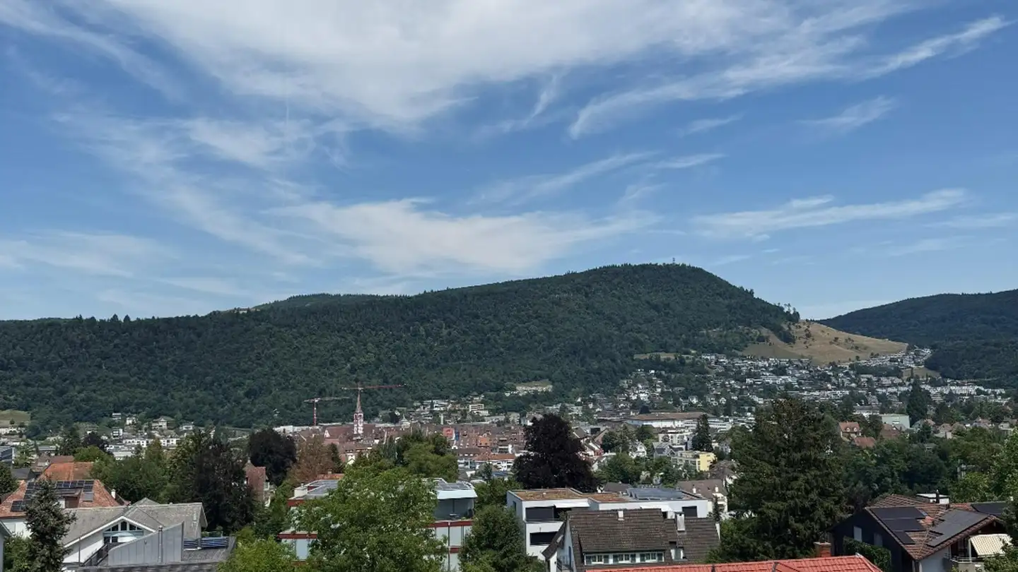 Spazio ufficio in affitto - Hasenweg 18, 4410 Liestal - Foto 2