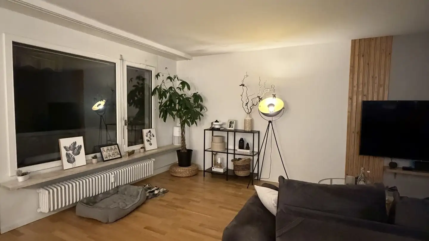 Appartamento in affitto - Fasanenstrasse 35, 4127 Birsfelden