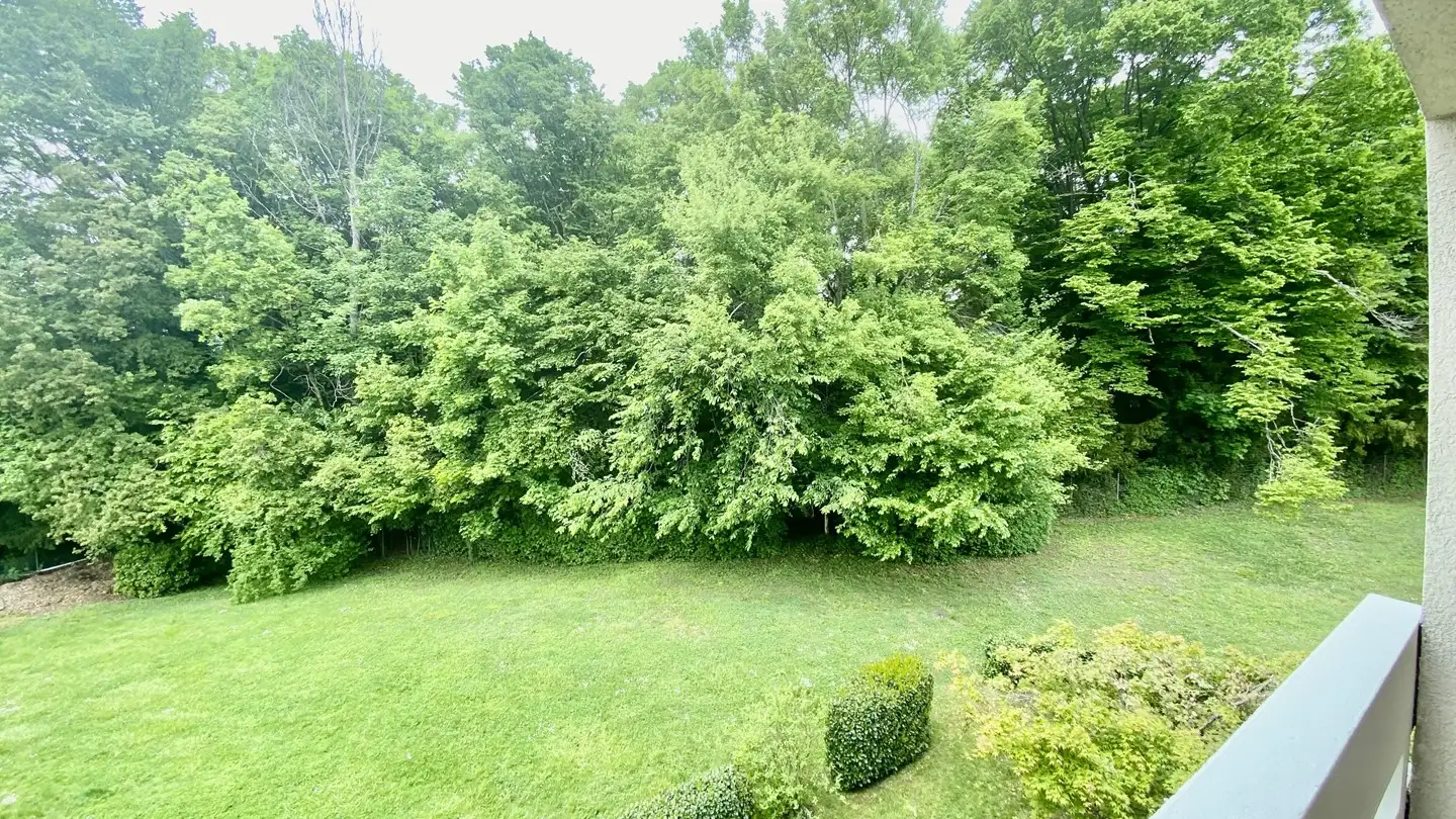 Appartamento in affitto - Route de Vandœuvres, 1253 Vandoeuvres - Photo 3