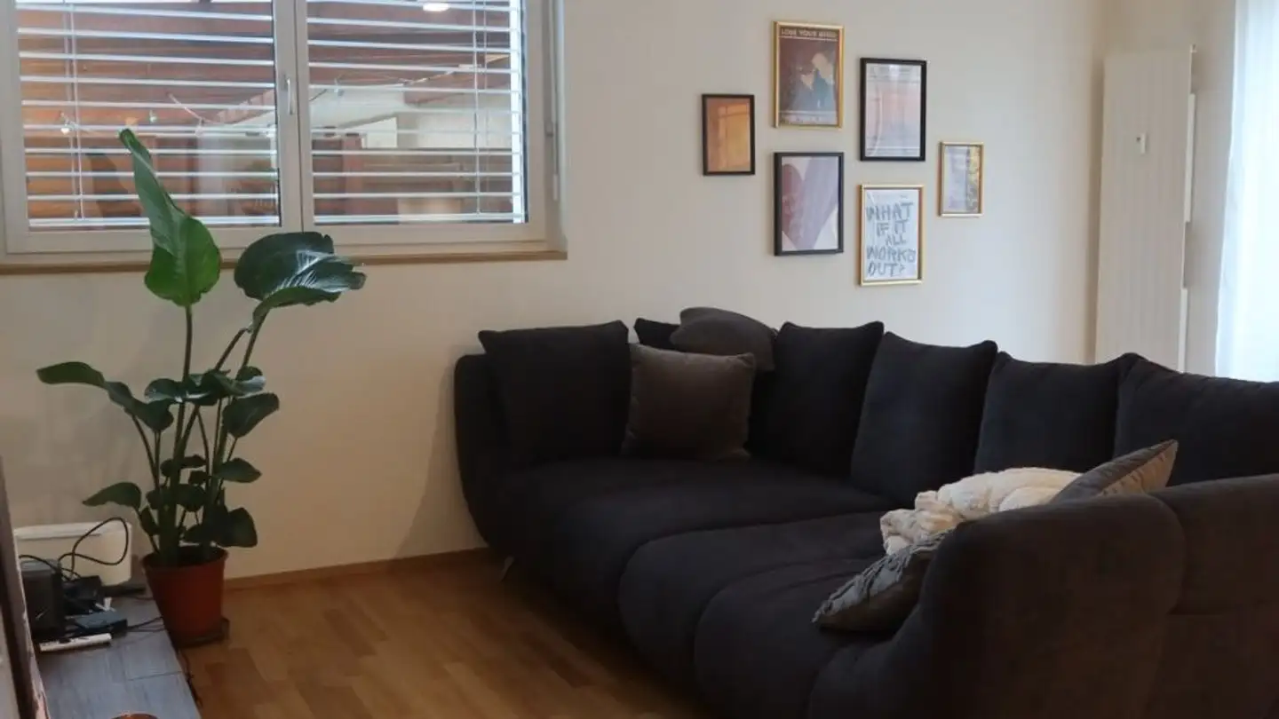 Apartment for rent - 8952 Schlieren