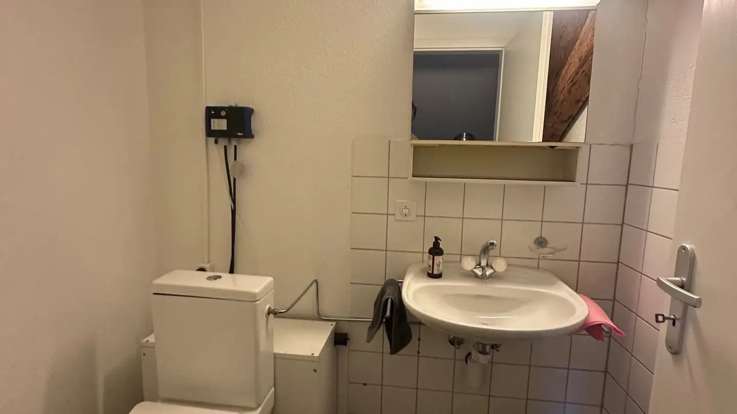 Dachgeschosswohnung mieten - Bruggweg 5, 4143 Dornach - Foto 3