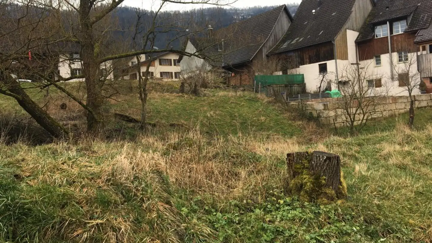 Terreno edificabile in vendita - Wolfsgartenstrasse, 4252 Bärschwil - Photo 4