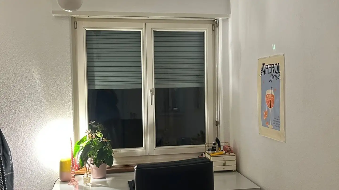 Single room for rent - 8032 Zürich - Photo 3