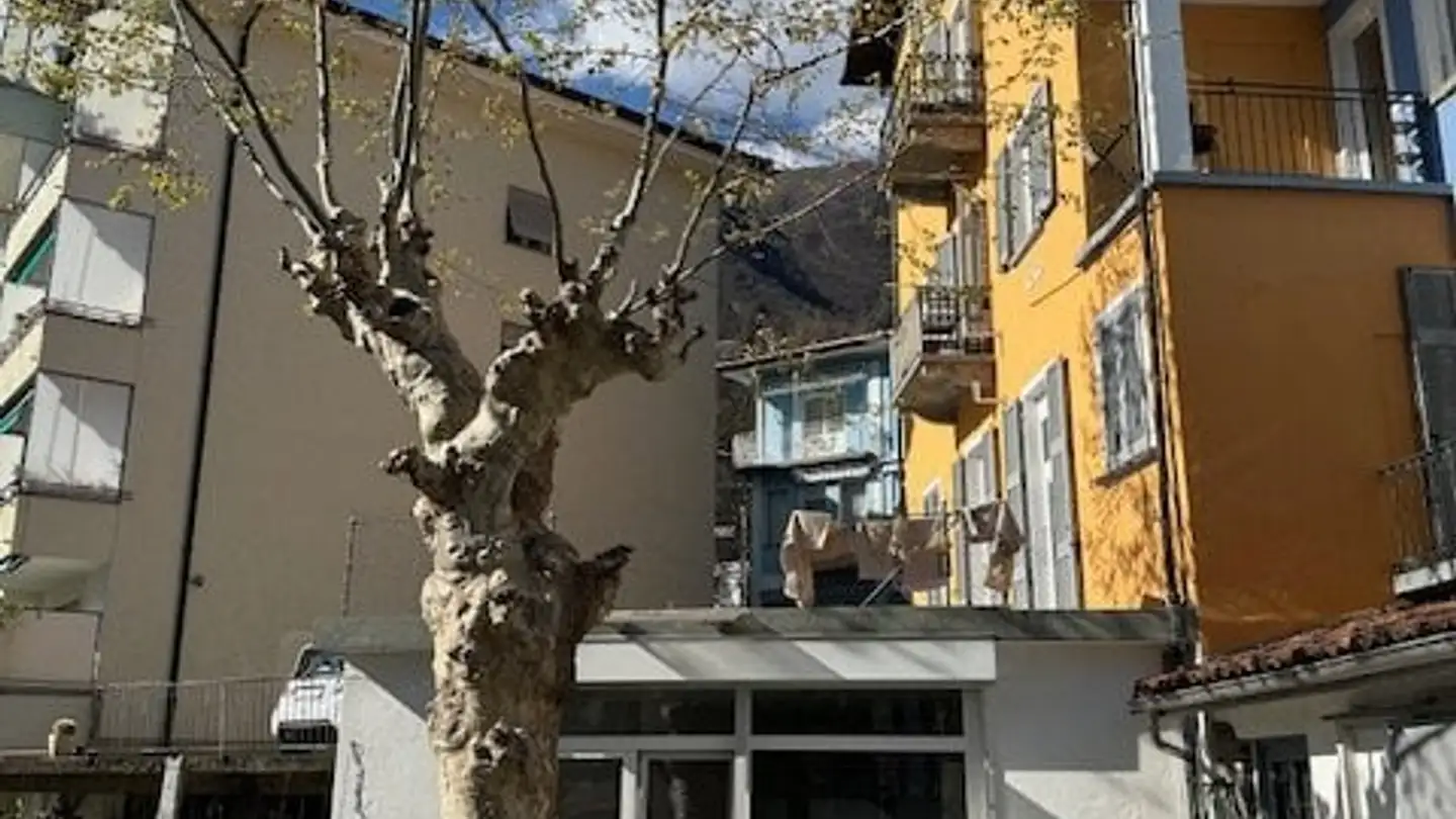 Wohnung mieten - 6600 Muralto - Foto 4