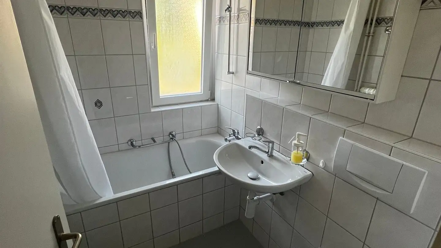 Chambre à louer - Roswiesenstrasse, 8051 Zürich - Photo 3
