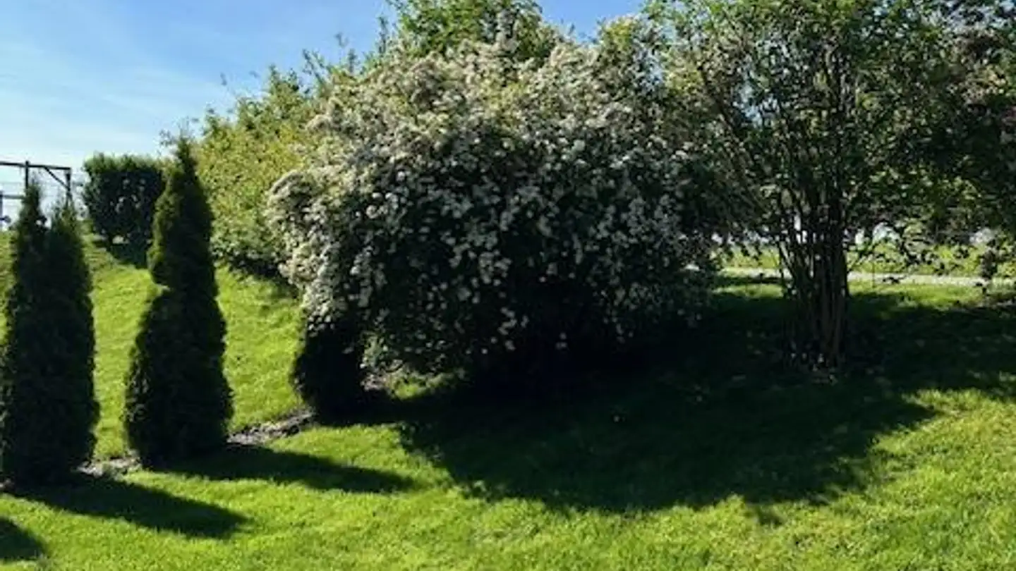 Wohnung mieten - Bahnhofstrasse 56b, 8595 Altnau