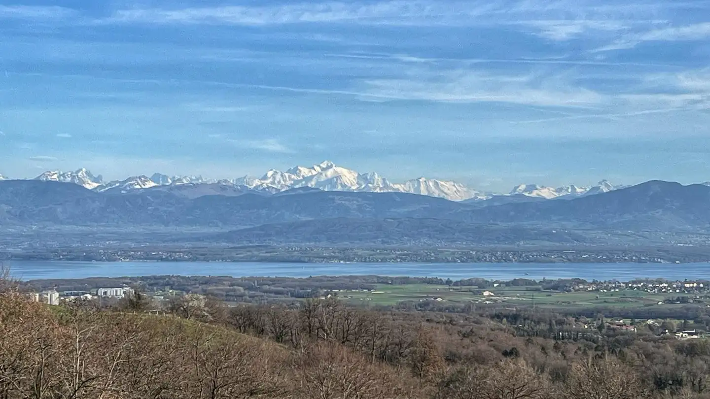 Appartement en terrasse à vendre - 1260 Nyon