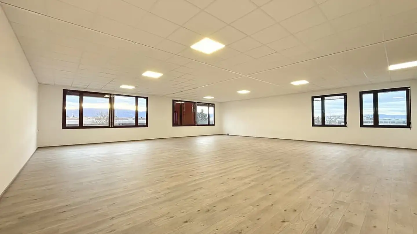 Commercial for rent - Rue Du Cardinal- Journet 27, 1217 Meyrin