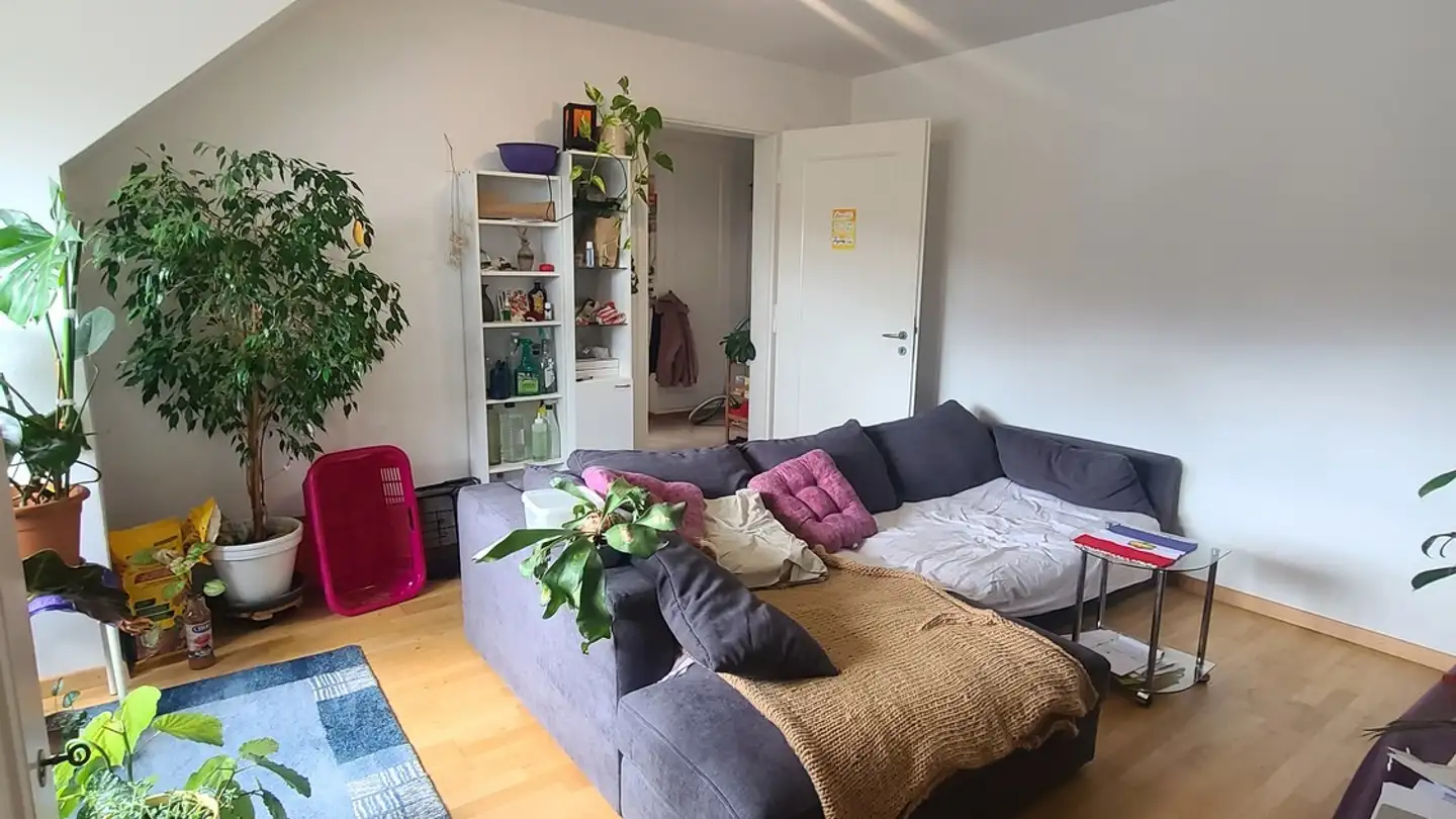 Appartamento in affitto - 3098 Schliern b. Köniz - Photo 2