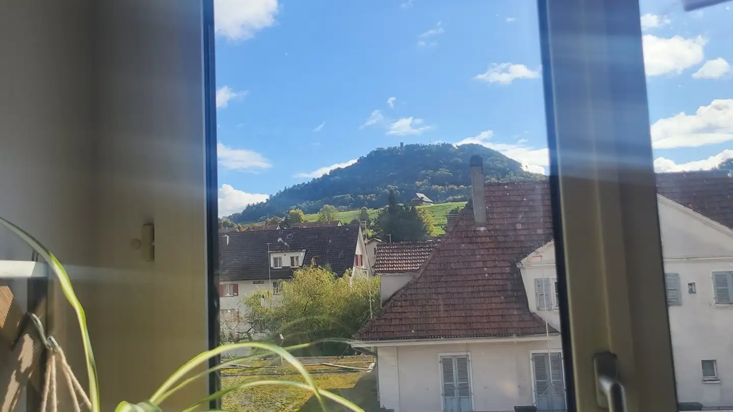 Appartamento in affitto - 3098 Schliern b. Köniz - Photo 3