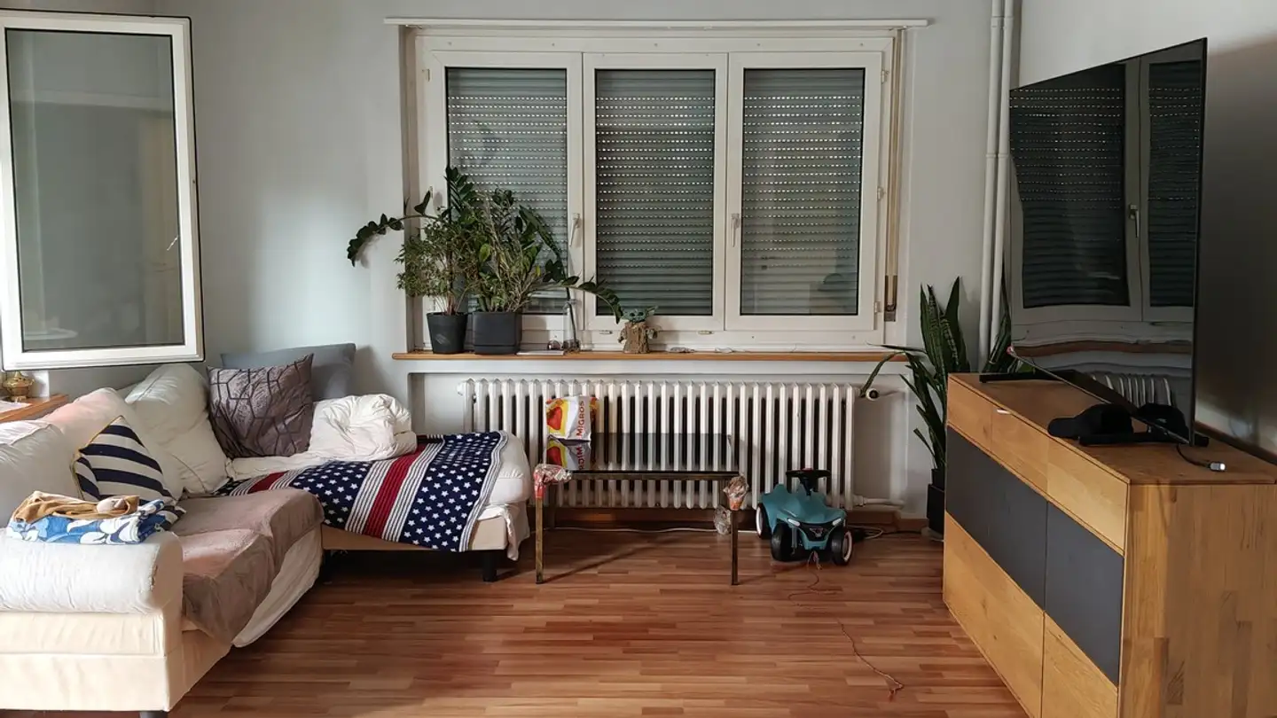 Apartment for rent - 8047 Zürich