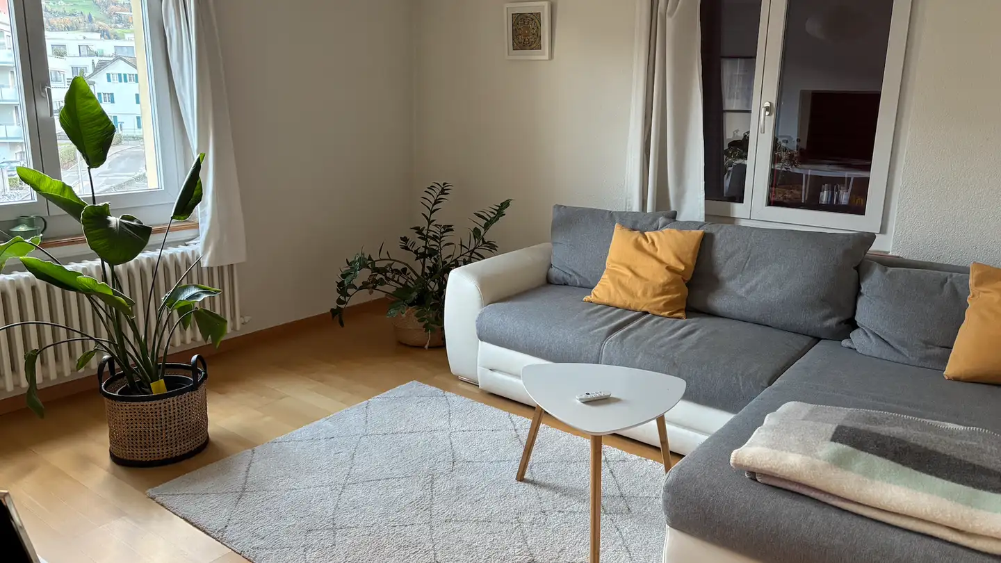 Apartment for rent - St. Gallerstrasse, 8853 Lachen SZ