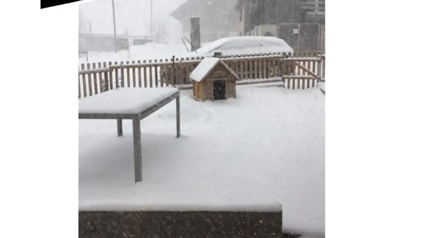 Maison individuelle à louer - Sur Prègne 4, 2885 Epauvillers - Photo 3