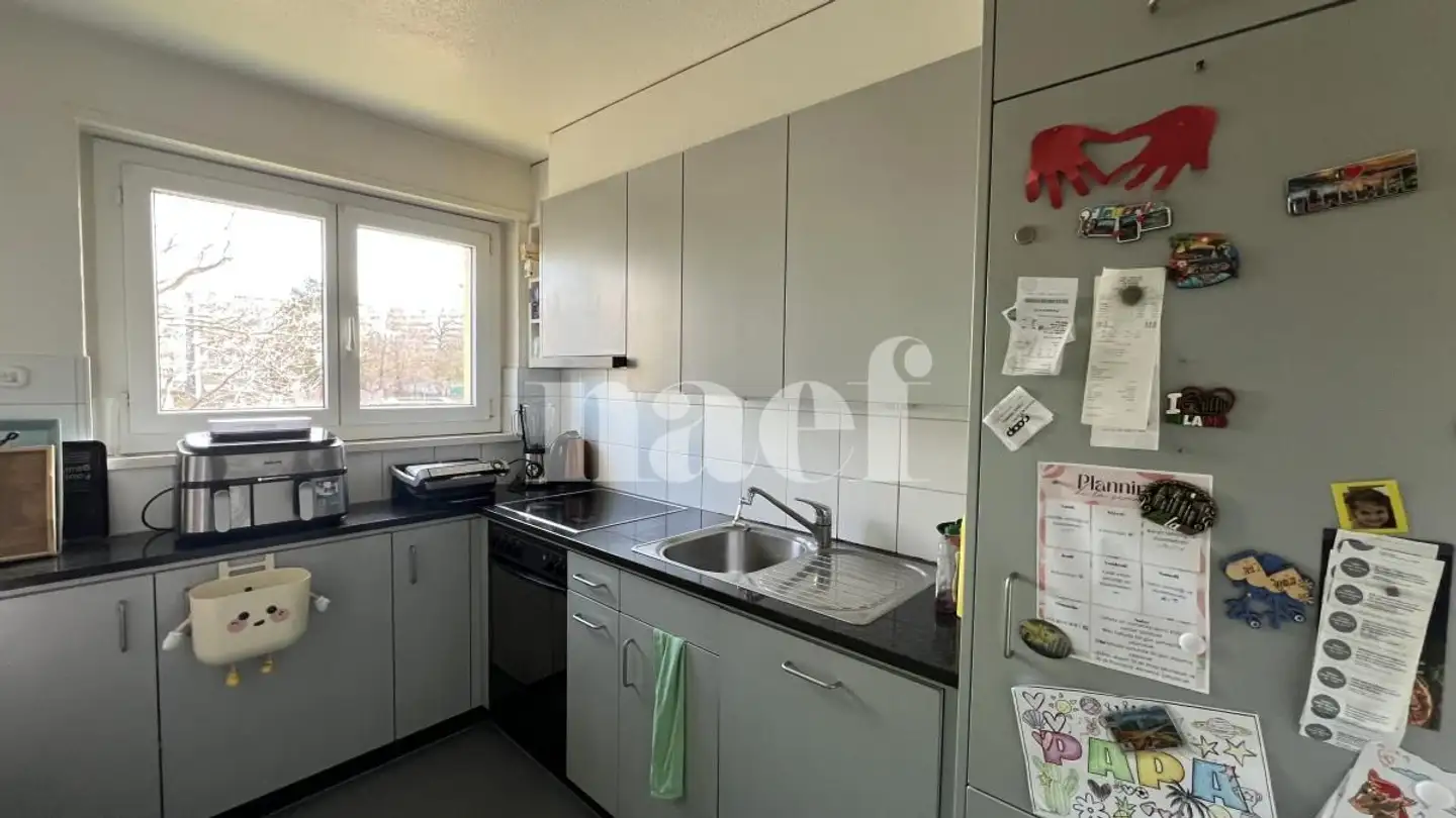 Appartamento in affitto - Route Mon-Repos 11, 1700 Fribourg - Foto 3