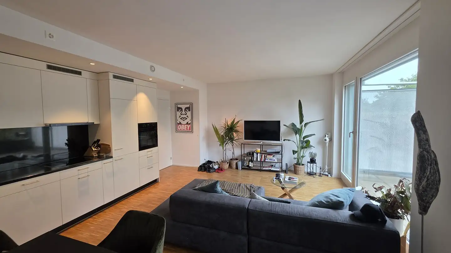 Appartamento in affitto - 8953 Dietikon