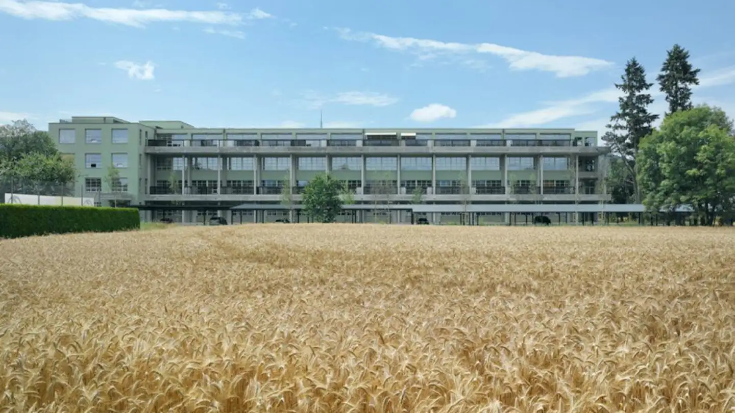 Appartamento in affitto - Hugi-Strasse 1, 4657 Dulliken - Foto 2