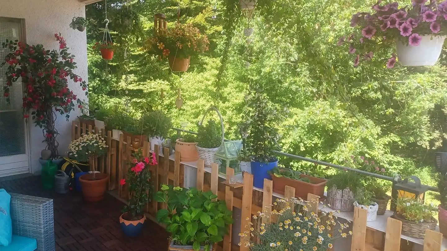 Appartement à louer - Hauptstrasse 89a, 5032 Aarau Rohr