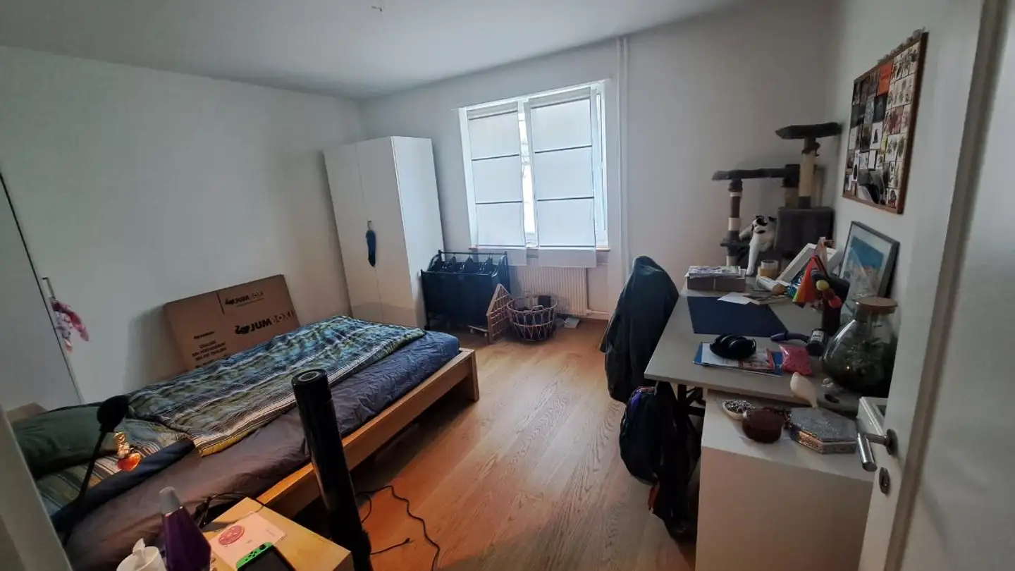 Studio in affitto - Regensbergstrasse 301, 8050 Zürich