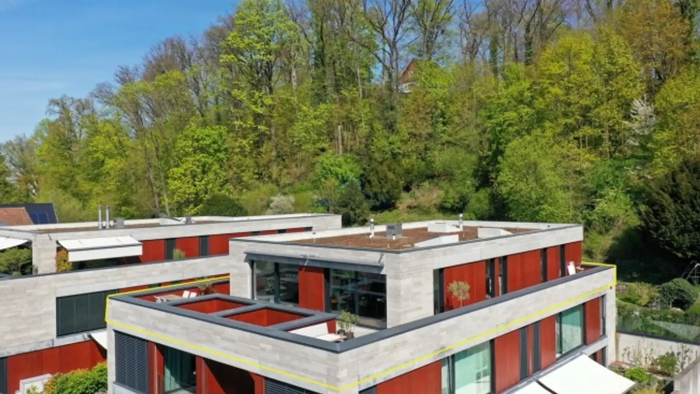 Penthouse for sale - Waldeckweg 31, 4102 Binningen