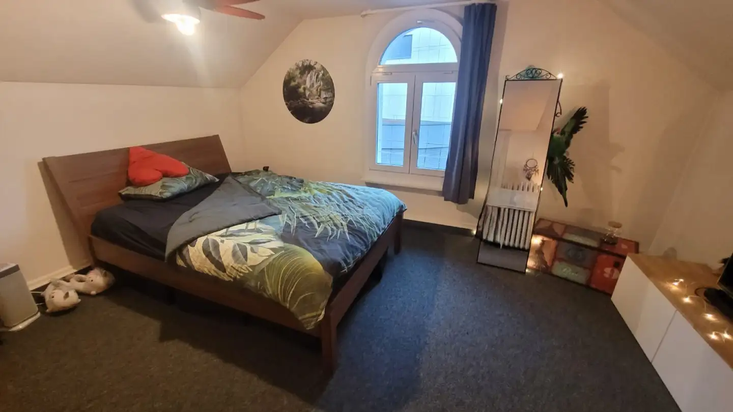 Single room for rent - 4600 Olten - Photo 2