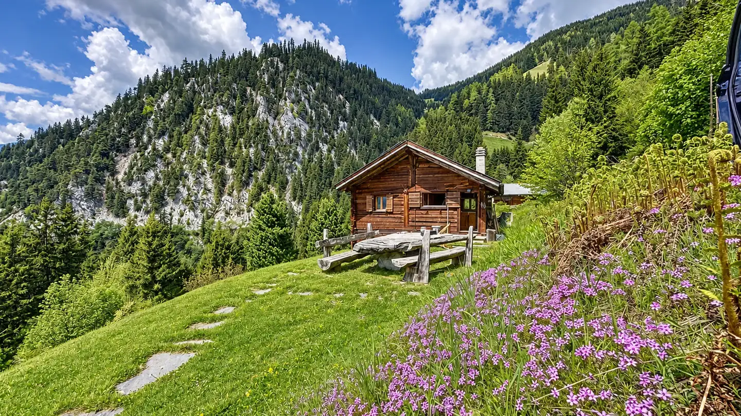 Chalet kaufen - 1948 Sarreyer