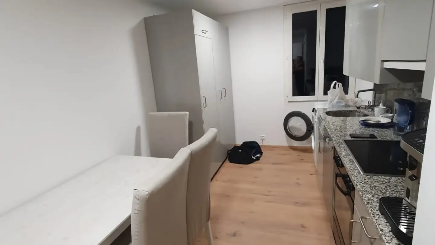 Apartment for rent - 8909 Zwillikon - Photo 3