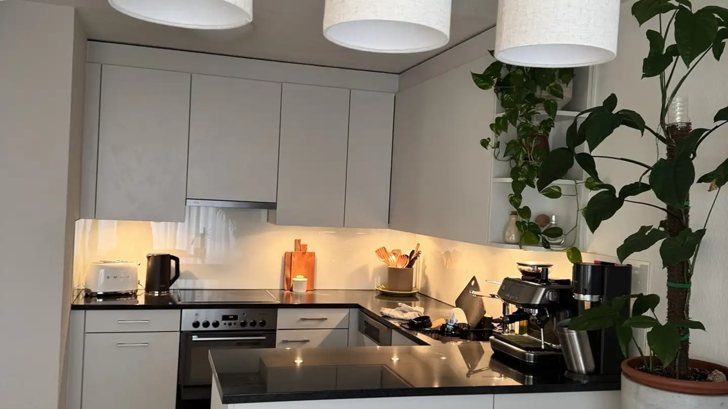 Chambre à louer - Bundentalstrasse 3, 8952 Schlieren