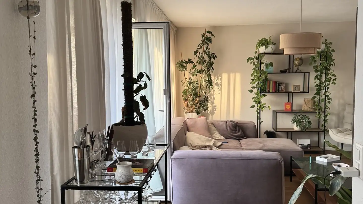 Chambre à louer - Bundentalstrasse 3, 8952 Schlieren - Photo 2