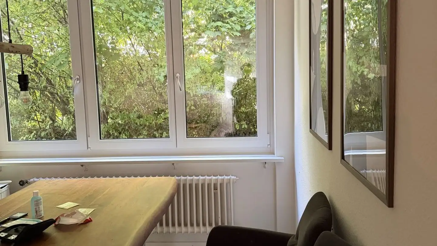 Apartment for rent - Birmensdorferstrasse 63, 8142 Uitikon Waldegg - Photo 4