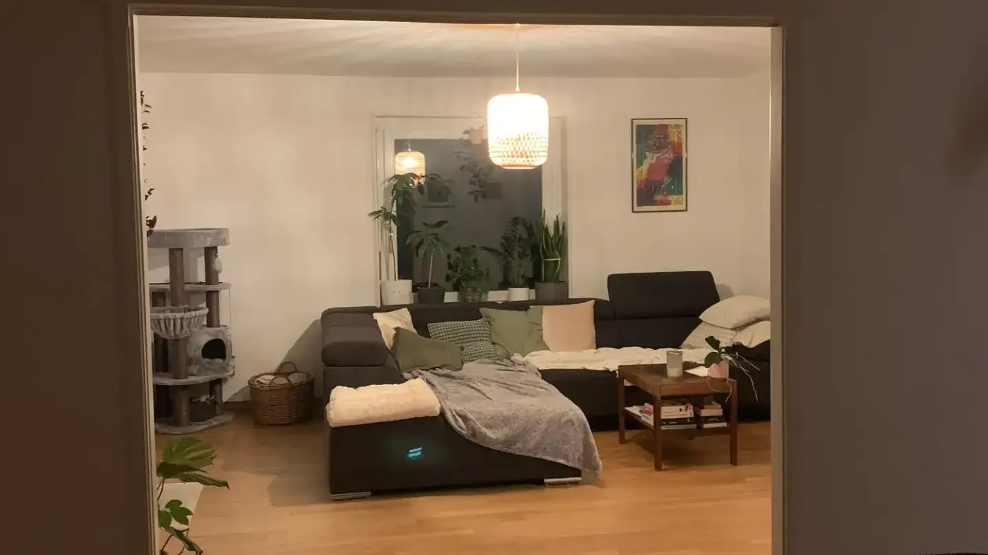 Single room for rent - Wiesenstrasse, 9000 St. Gallen - Photo 3
