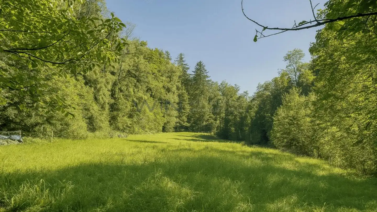 Maison individuelle à vendre - 9517 Mettlen - Photo 2